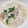 harukapad♬'s cooksnap of when they made 切り餅でトロトロ♪簡単！タイ風おかゆ.
