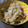 ＣＡＲＯＬ0309's cooksnap of when they made 簡単☆筍ご飯.