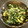 あんころあんず's cooksnap of when they made ✨ほうれん草と卵の炒め物✨.