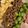 だいちりお's cooksnap of when they made 牛ひき肉と枝豆のそぼろご飯.