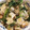 ぼるさち's cooksnap of when they made かぶと京あげの炒め味噌煮.