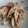 めいぷるhoney's cooksnap of when they made 簡単！やわらかふわとろの豚生姜焼き.