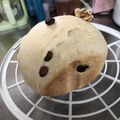 もこもこねね's cooksnap of when they made HB早焼きフンワリおから全粒粉食パン.