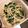 rincocomam's cooksnap of when they made 簡単5分でおつまみ＊ニラもやしのゴマ和え.