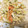 あっこ７３ｆ's cooksnap of when they made 簡単おいしい！白菜の和風マヨサラダ＊.
