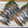 きらり流れ星's cooksnap of when they made さんまのお造り　お刺身三枚おろし魚捌き方.