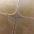 メロンパンケーキ's cooksnap of when they made 離乳食初期✱玉ねぎと大根のペースト.