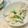 mikeshima's cooksnap of when they made 柿ときゅうりのマヨサラダ.