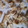ねこだらけ7's cooksnap of when they made 簡単☆生姜の砂糖漬☆保存☆お菓子.