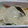 わんこたんわんたん's cooksnap of when they made お塩を使わずお漬物★簡単大根の千枚漬け♪.