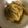 ネコのみさき's cooksnap of when they made カンタン！きんぴらごぼう.
