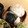 えのきのすけ's cooksnap of when they made ➏　うちの炊きこみご飯　➏.