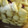 maggi's cooksnap of when they made らっきょう漬け.