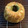 ぐでたまパン's cooksnap of when they made 抹茶クグロフパン☆白神こだま使用☆.