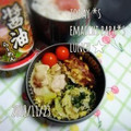 えまっちママ's cooksnap of when they made ちょっとのお肉で大根の和風コク味噌炒め.