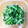 せろり☆'s cooksnap of when they made ☺簡単♪ブロッコリーのわさびマヨ和え☺.