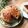Miiyasusho's cooksnap of when they made さくら♡チーズケーキ.