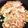 クック4W37VW☆'s cooksnap of when they made キャベツ盛り盛り☆簡単！お好み焼き.