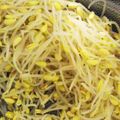 Fナイチンゲール's cooksnap of when they made 超楽々　豆もやしでコンナムル 作ります.