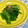 ☆さぶ☆☆'s cooksnap of when they made ほうれん草のお浸し.