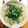 Fナイチンゲール's cooksnap of when they made 超楽々　豆もやしでコンナムル 作ります.