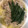 のりのりのんりぃ's cooksnap of when they made 簡単過ぎる！白菜と豚肉の重ね煮.