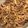クックXLS5X4☆'s cooksnap of when they made 豚肉の生姜焼き.