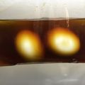 ちぃちちー's cooksnap of when they made ほめられ♪煮卵.