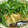 myukitty's cooksnap of when they made ウマウマ！揚げだしナス★.