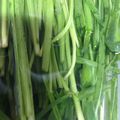 happykote's cooksnap of when they made 1週間経っても新鮮！ニラの保存の仕方.