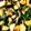 91m___'s cooksnap of when they made さつま芋＆ほうれん草のブタ味噌炒め.
