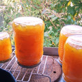 k486y2562's cooksnap of when they made 柚子と砂糖だけで作る柚子茶.