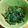 ☆かつもも☆'s cooksnap of when they made 子どもの春菊デビューに！春菊のごま和え！.