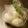 ガメコ's cooksnap of when they made 白だしで味付け卵.