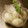 ガメコ's cooksnap of when they made 白だしで味付け卵.