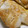 クックHPJDYZ☆'s cooksnap of when they made 鱈と白子のムニエル.