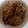 ショコラメロン's cooksnap of when they made 炊飯器でもちもち ＊鶏ごぼうおこわ＊.