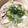 ひっさつま's cooksnap of when they made 材料少しで♡さといものおろし鍋♪.