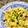 〜お鶴〜's cooksnap of when they made 鶏もも肉と白菜のクリーミィマヨソテー.