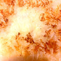 はに333's cooksnap of when they made 大根もち！ もちもち とろりんっ♪.