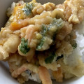 シバイヌりゅう's cooksnap of when they made かき揚げの卵とじ.