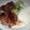 opecha's cooksnap of when they made 格安チーズとんかつ.
