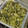 クックVQ4Z20☆'s cooksnap of when they made あごだし④大根葉としらす干しのふりかけ.