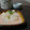 ダイナマイト漆黒's cooksnap of when they made かぶの簡単たらこ餡.