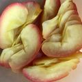 メタルマリオ's cooksnap of when they made レンジで簡単！りんごのコンポート！.