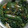 クック9QB5UV☆'s cooksnap of when they made ピーマンとほうれん草の煮びたし.