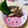 えりりんちゃん♡'s cooksnap of when they made 香ばしい！ゴーヤとじゃが芋のマヨナン炒め.