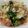 クックXZZ6G4☆'s cooksnap of when they made お鍋の残りで♪白菜と春菊のおひたし.