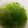 ☆マカロンmama☆'s cooksnap of when they made レタスと豆苗のコンソメスープ.