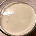 まどがえる's cooksnap of when they made 冷やすだけ！とろけるパンナコッタ★.